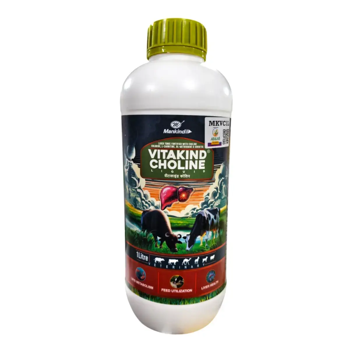 choline l carnitine Humans consume foods rich in choline and carnitine, which are broken main image 0