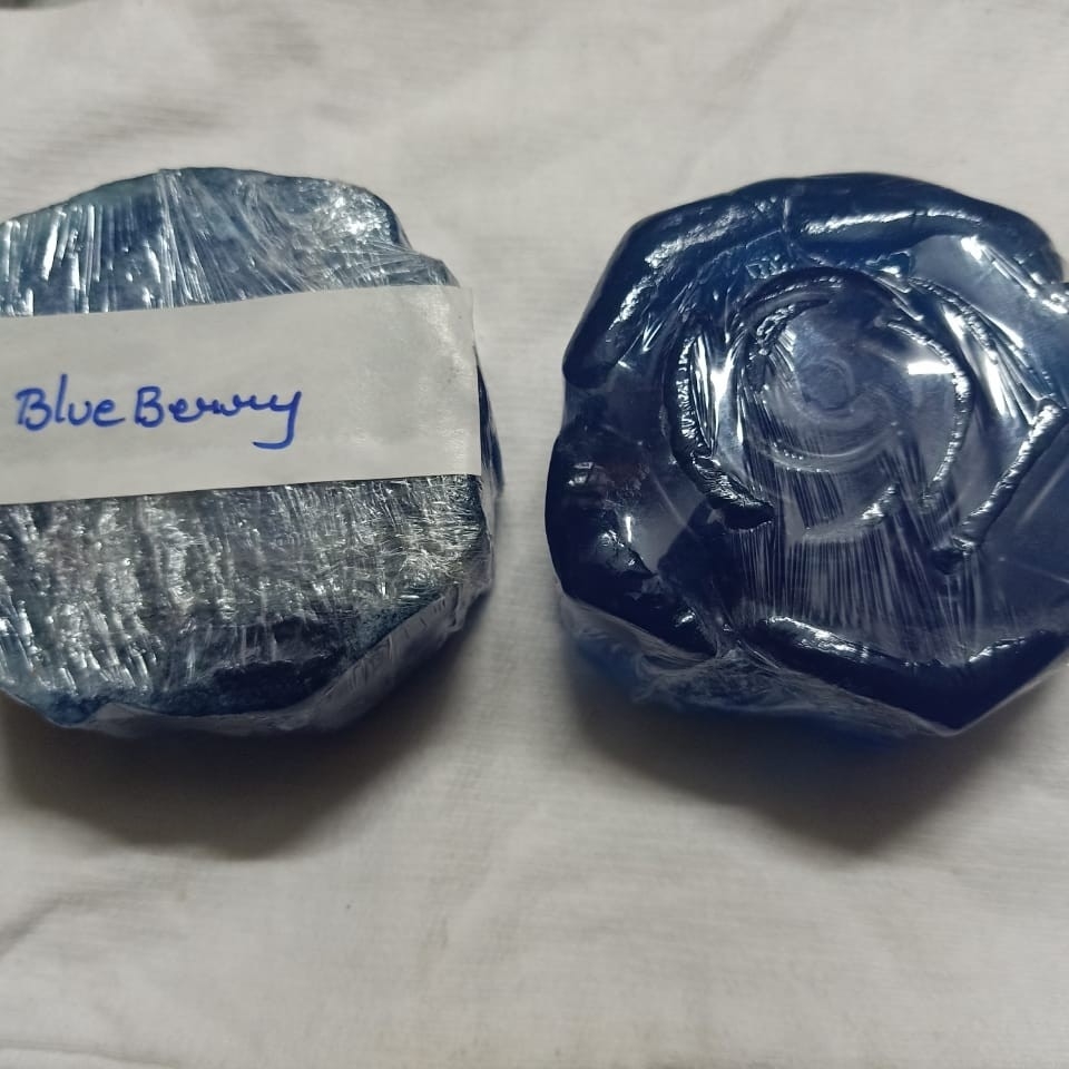 Blueberry - 1
