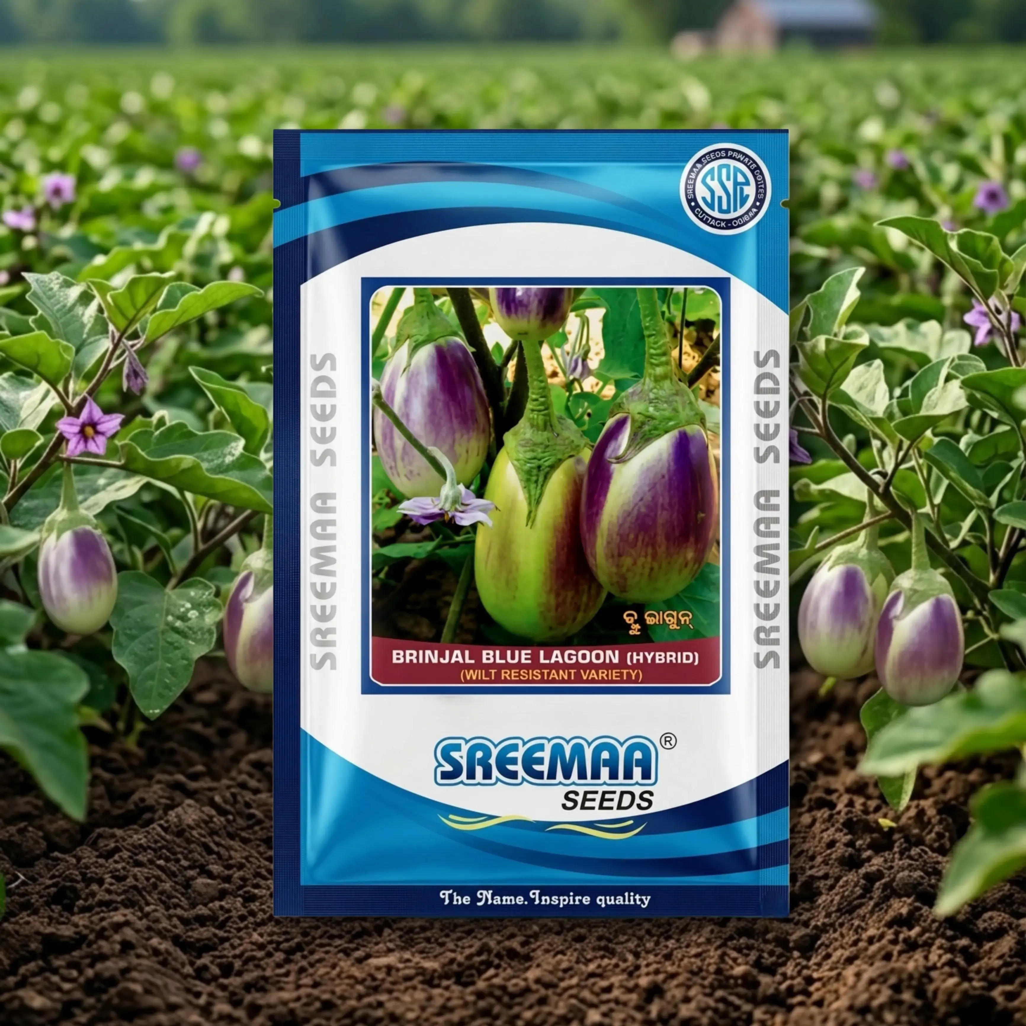 Buy Sreema Seeds Blue Lagun F1 Hybrid Brinjal Seeds