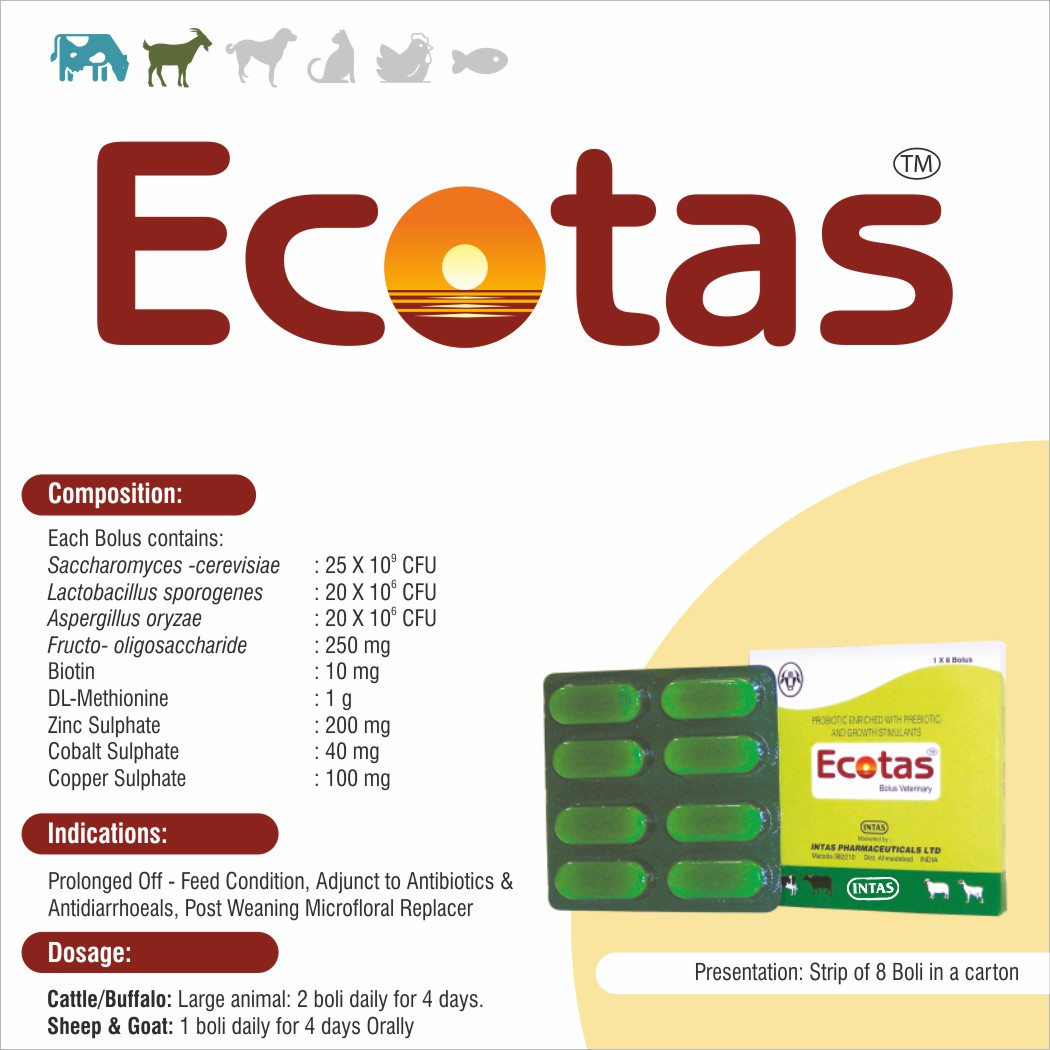 Buy Ecotas online at best price | Shreehari Medical Distributor