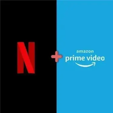 Netflix & Prime Combo