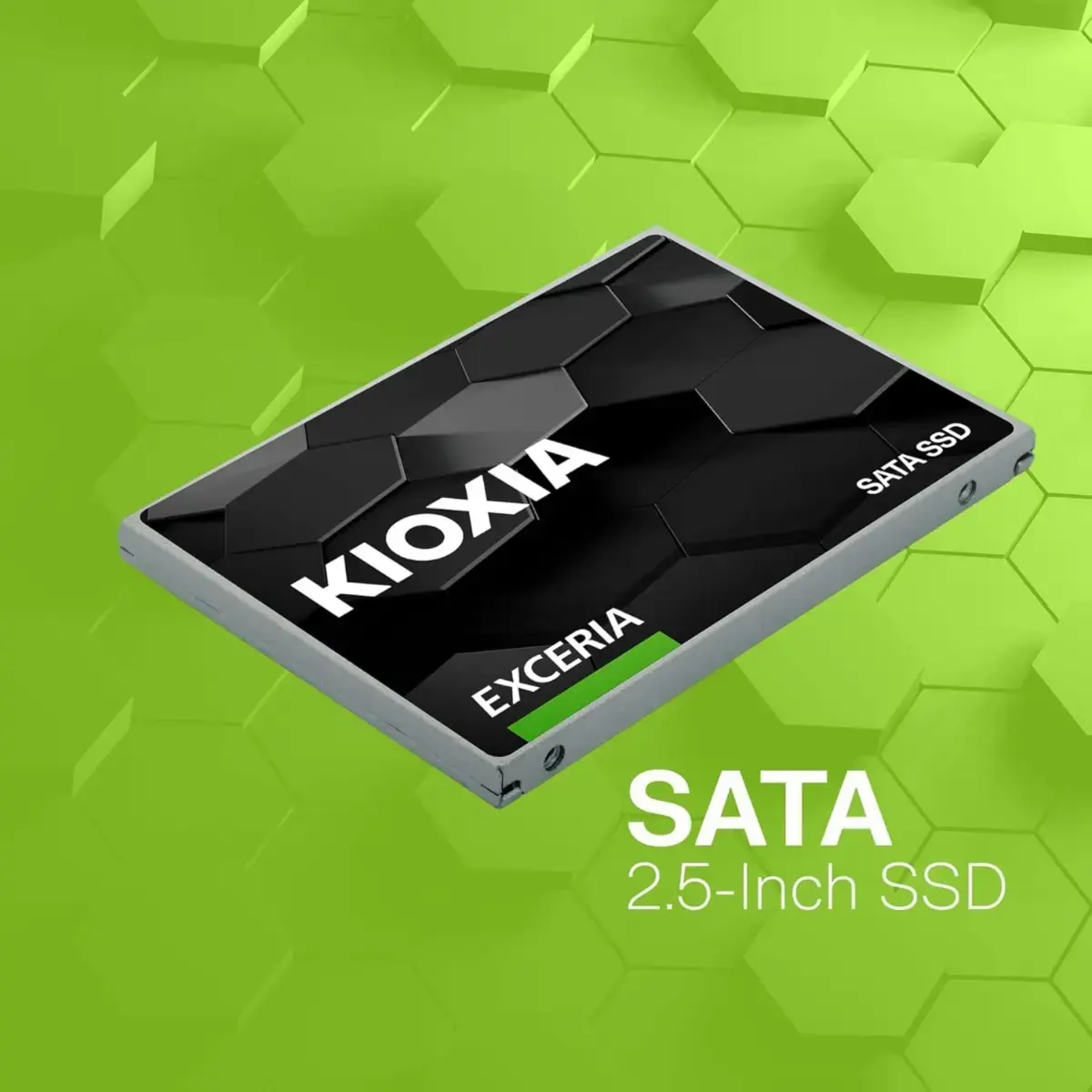 Buy KIOXIA 960 GB 2.5 SATA online at best price | SHREE JEEVRAJ