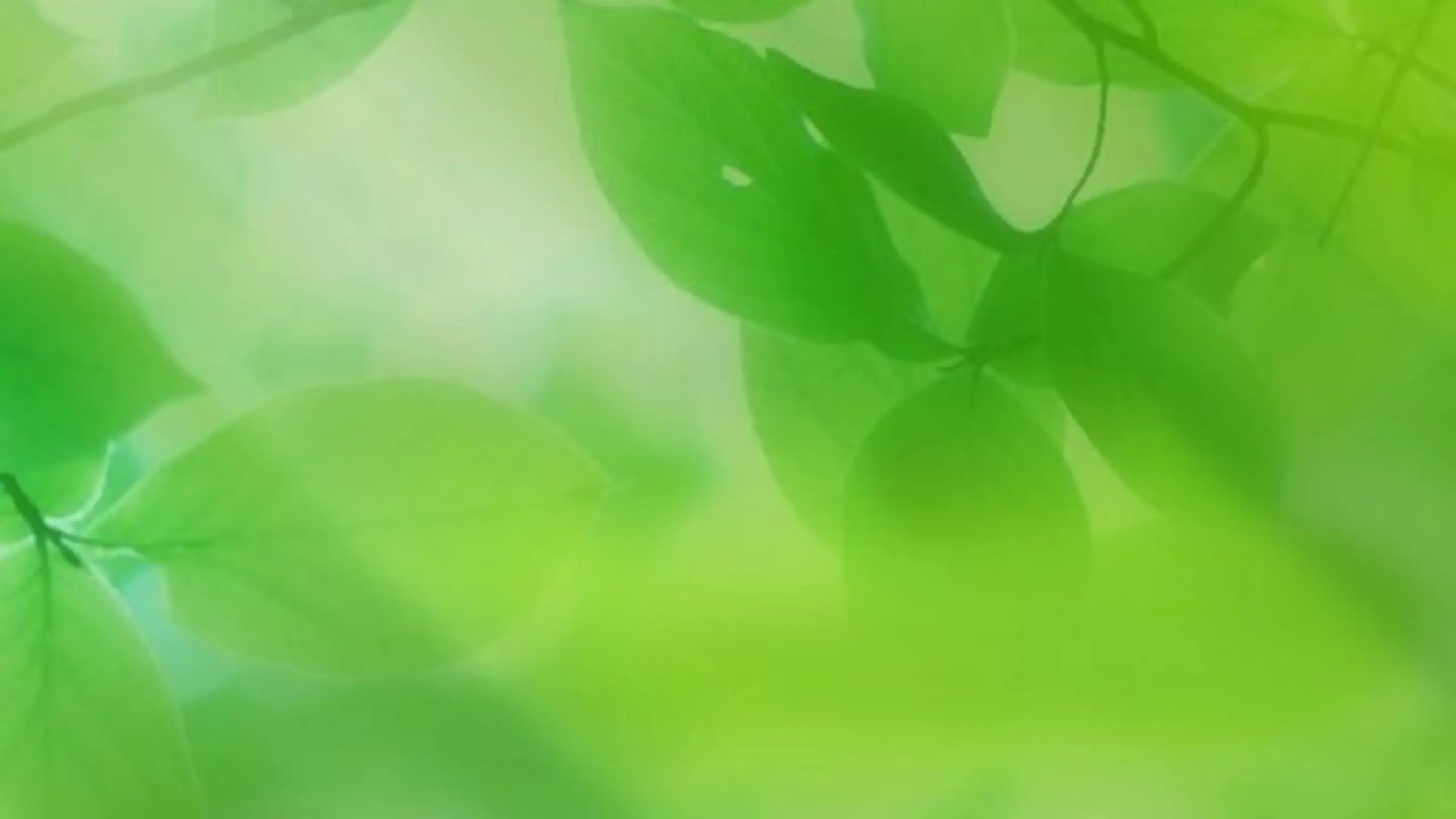 Main Banner Image 1