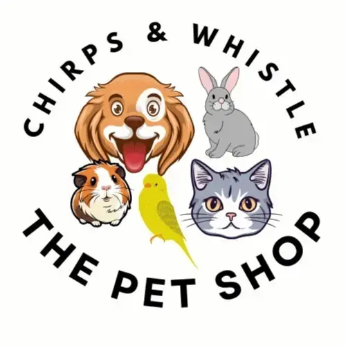 store logo