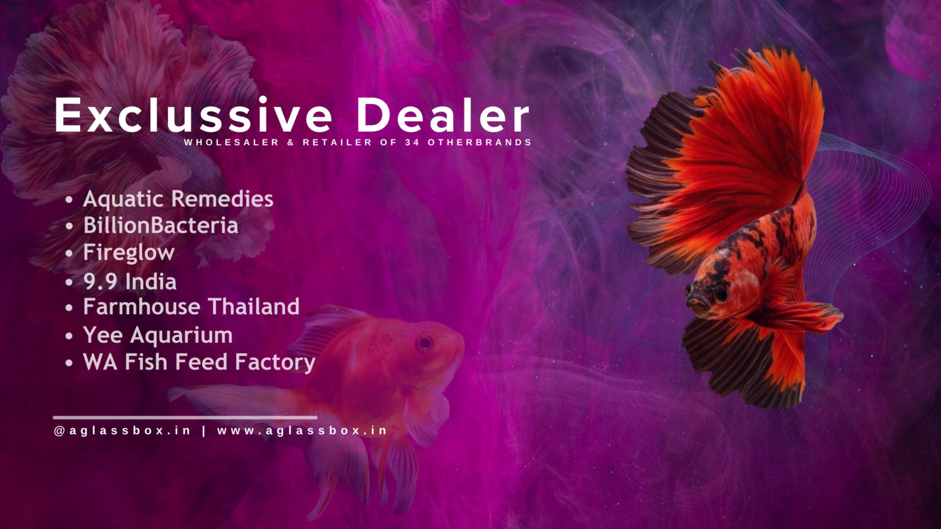 A Glass Box™ Your Aquarium Destination Free Shipping