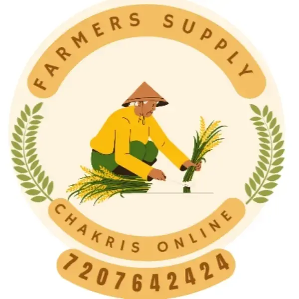 store logo