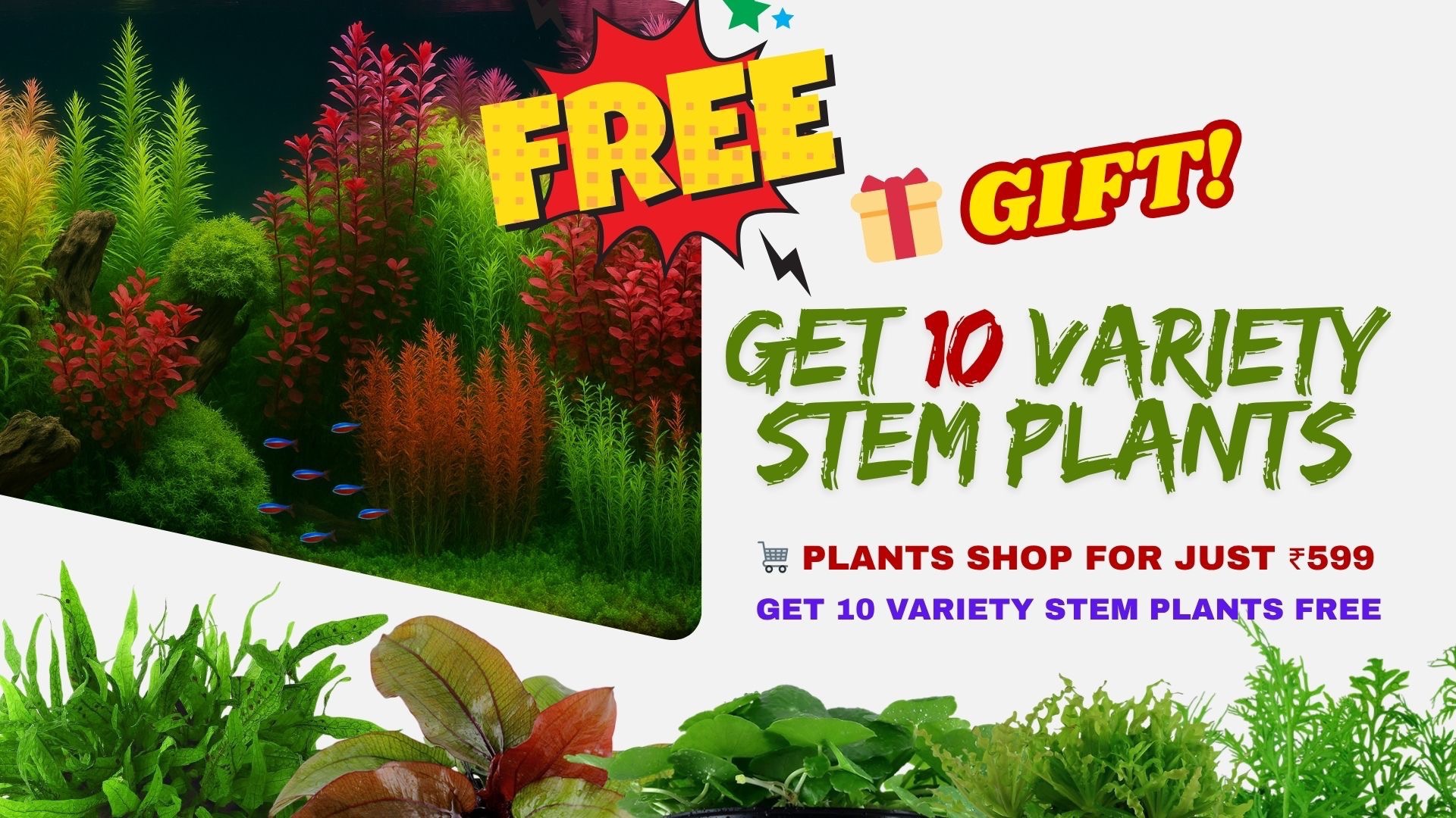 Main Banner Image 3