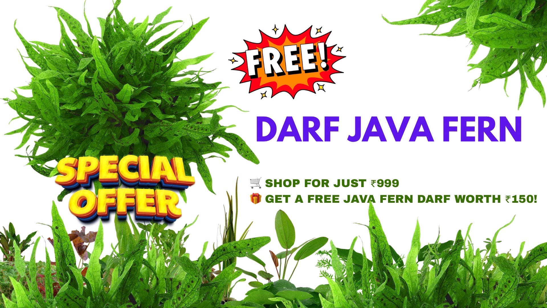 Main Banner Image 2