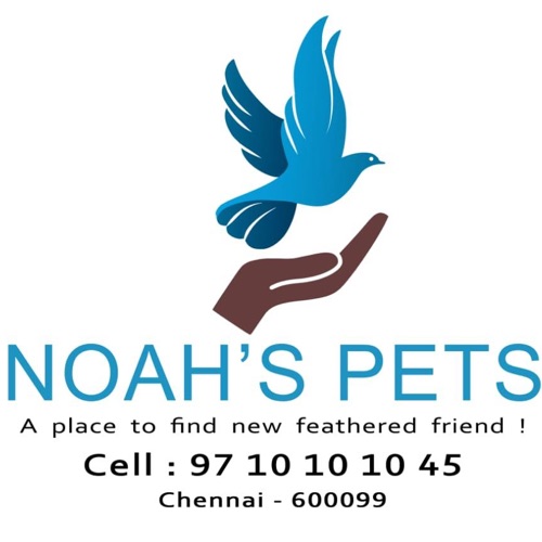Noah’s pets, Chennai Order Online