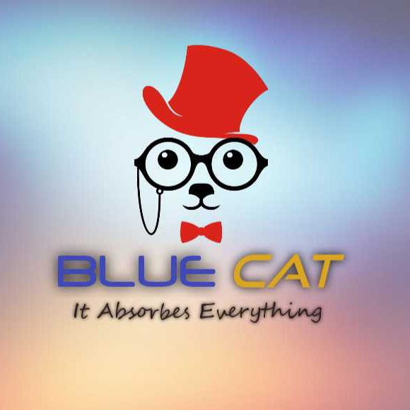 Blue Cat Studios Order Online