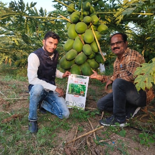 PLANTS, Aurangabad Order Online