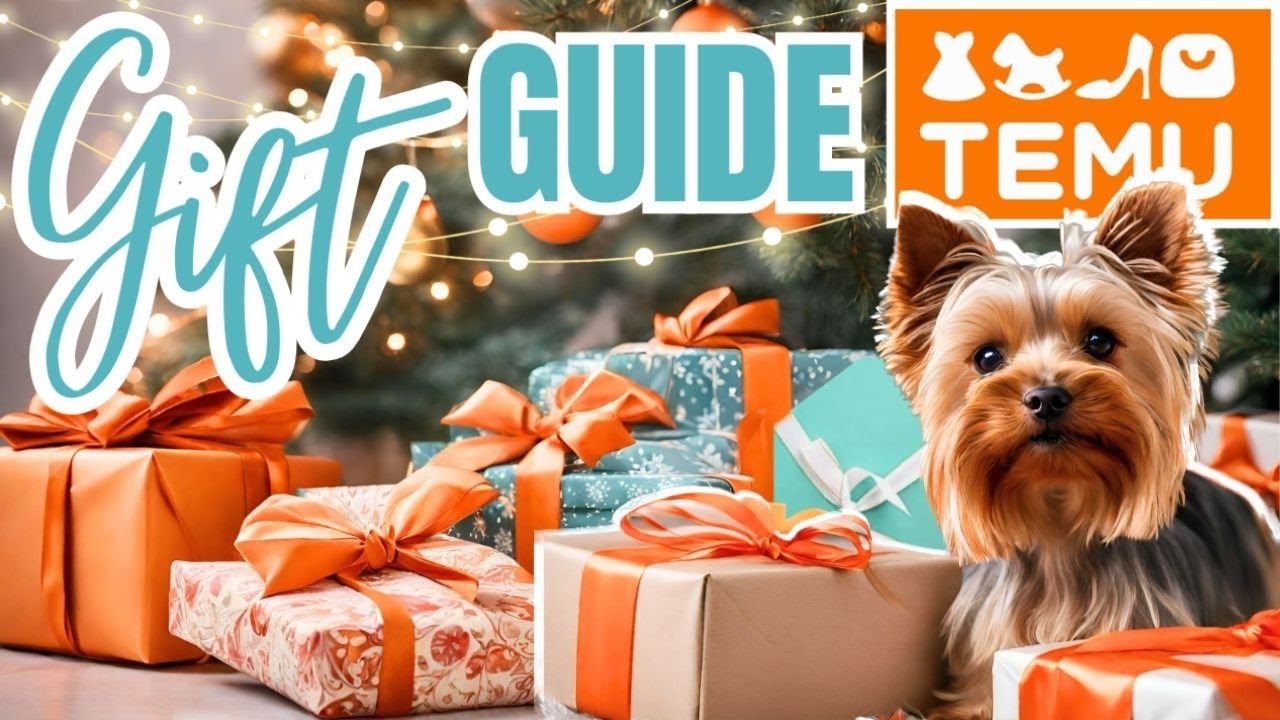 Main Banner Image 1
