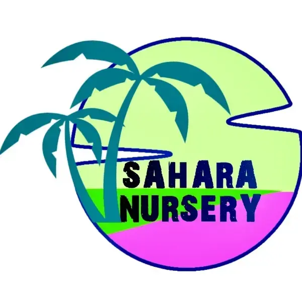 store logo