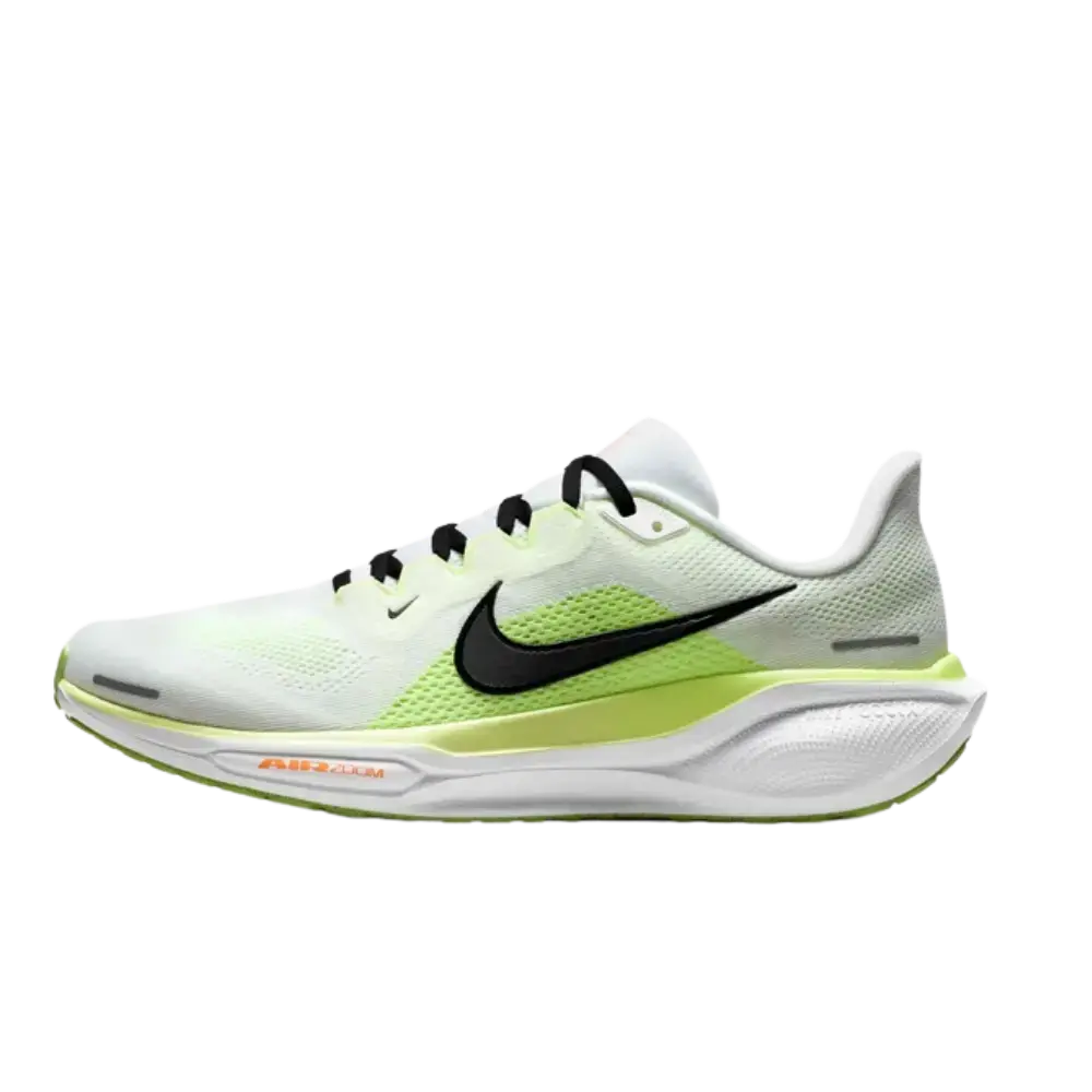  Pegasus 41