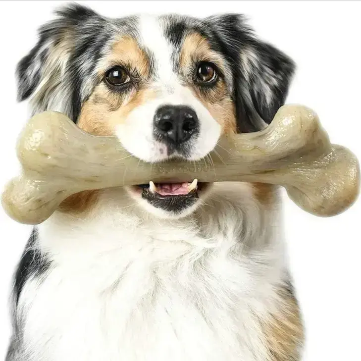 Category photo placeholder