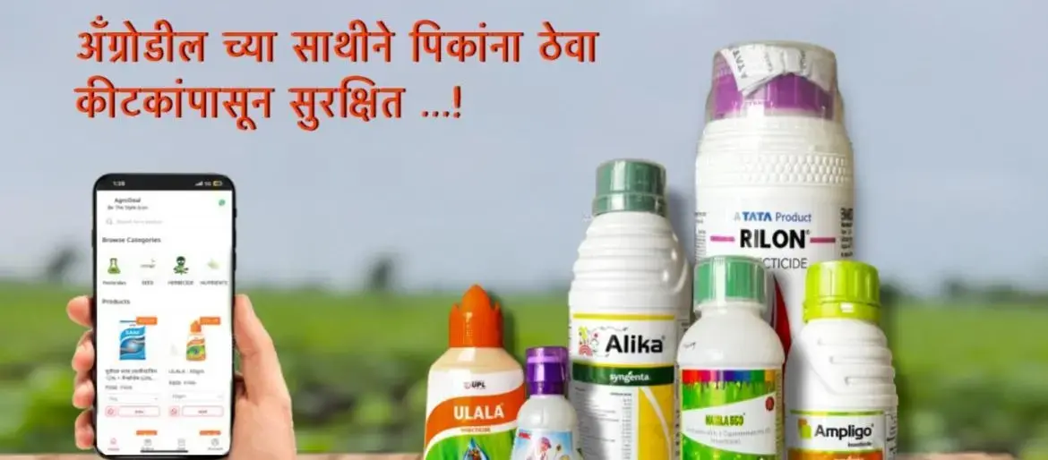 Fresh agricultural products delivered to doorstep