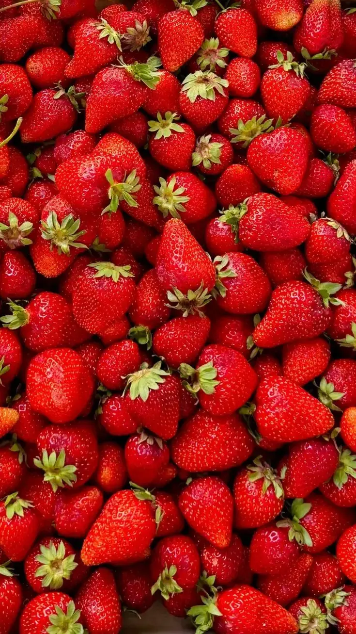 Main Banner Image 1