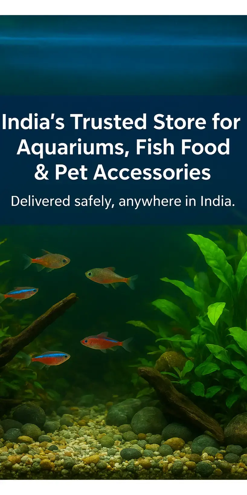 Fish food Aquariums Ahmedabad | indian aqua | Ahmedabad
