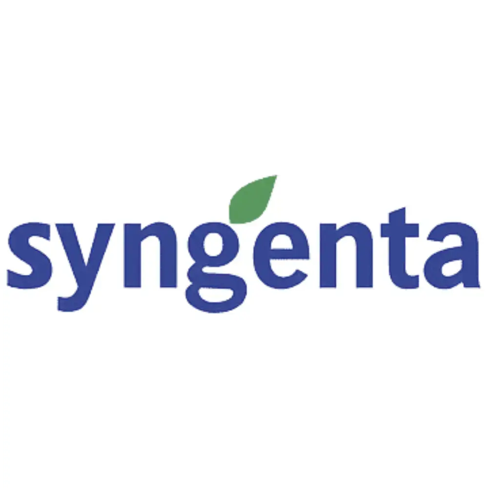 Logo 1